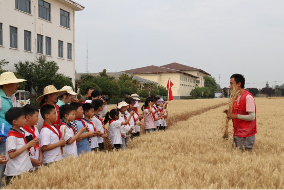 徐州市農(nóng)學(xué)會組織青少年科普活動—行走的研學(xué)課堂 農(nóng)科院探秘425.png