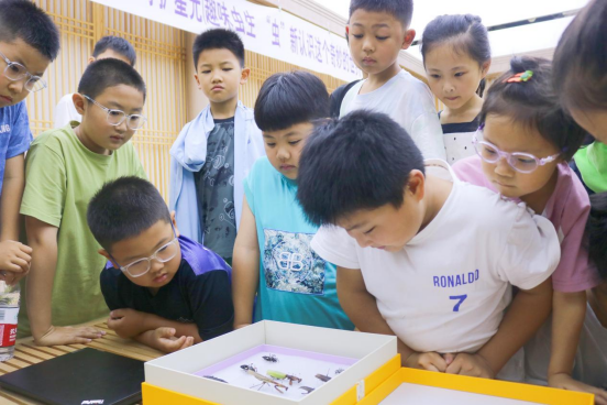 趣味“蟲”生，云龍區(qū)圖書館開展昆蟲科普活動（作者：馬煜森）334.png