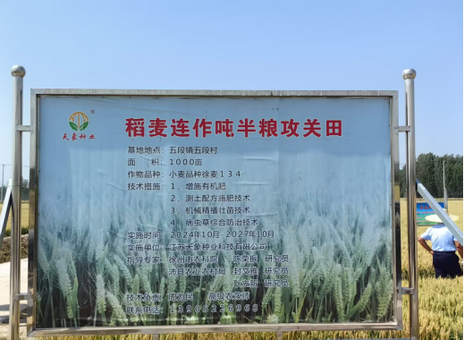 徐州噸半糧攻關(guān)小麥?zhǔn)痉懂a(chǎn)量取得突破316.png
