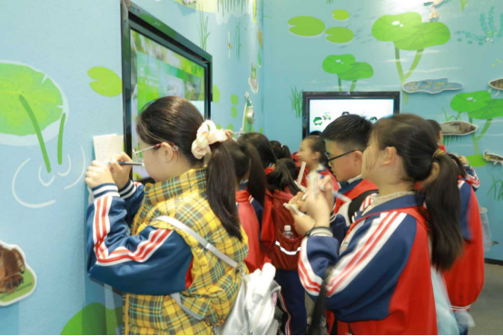 沛縣實驗小學(xué)開展安國湖濕地公園研學(xué)活動296.png
