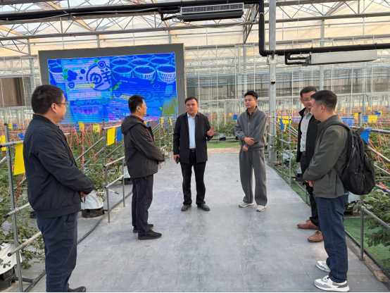 縣科協(xié)赴朱寨鎮(zhèn)調(diào)研 助力科普建設(shè)與農(nóng)業(yè)科技發(fā)展262.png