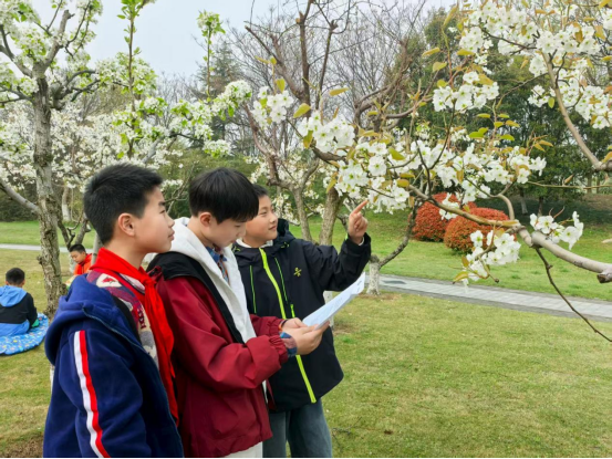 春染九里湖，趣享研學(xué)行 (1)110.png